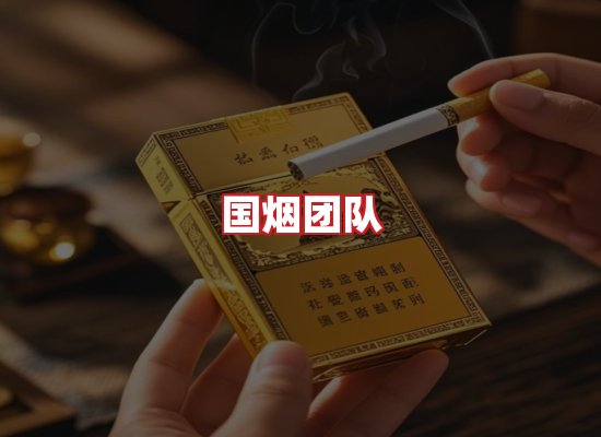 国烟团队